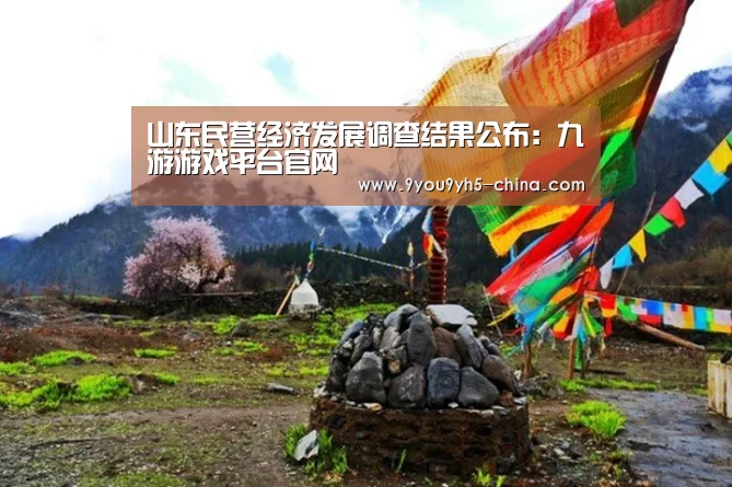 山东民营经济发展调查结果公布:九游游戏平台官网(图2) 九游官网下载
