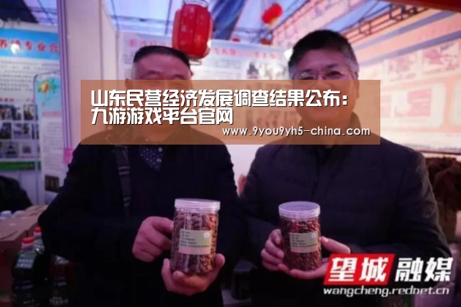 山东民营经济发展调查结果公布:九游游戏平台官网(图3) 九游官网下载